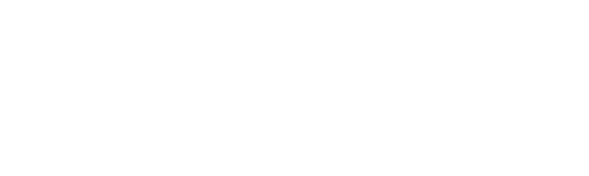 Website Aim